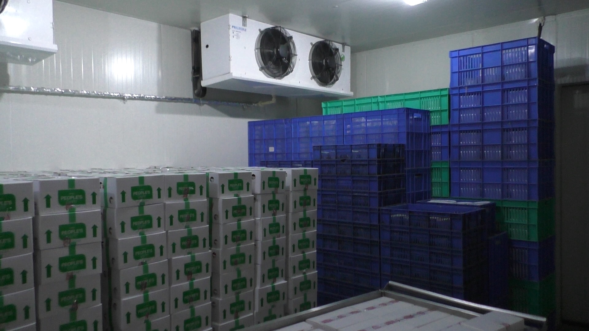 Blue Cold Blogs whycorrectfreezingtemperatureisrequiretostore